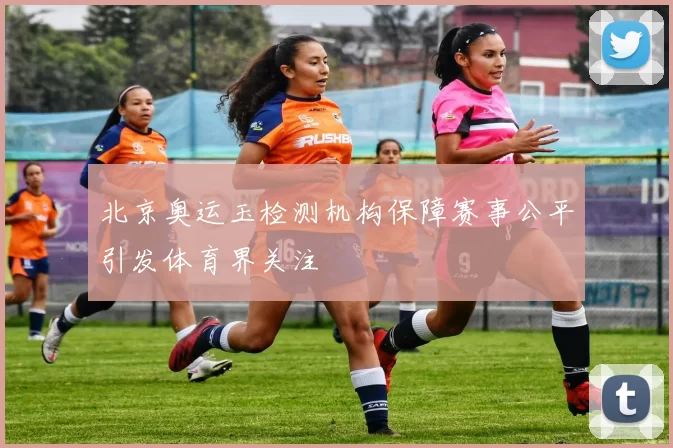 北京奥运玉检测机构保障赛事公平引发体育界关注