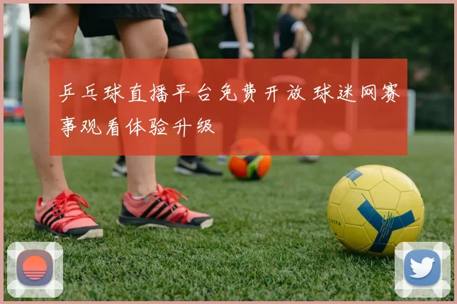 乒乓球直播平台免费开放 球迷网赛事观看体验升级